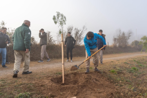 Importante iniciativa de reforestación camino al IPEA